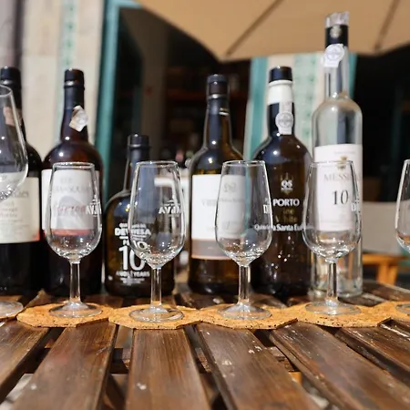 Flh Traditional With Terrace Apartment Porto